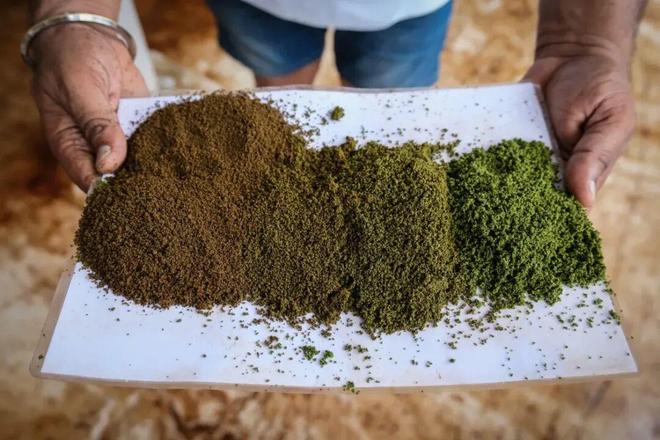 全球茶价要涨？印度“黄金叶”正被烤焦(图9)