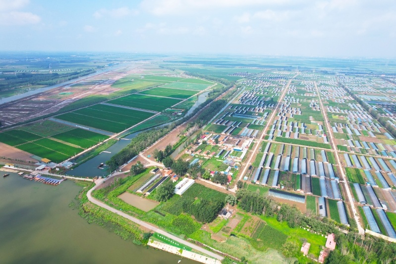 “青”听经济之声丨乡村振兴“西”望浓多元产业结金果(图2)