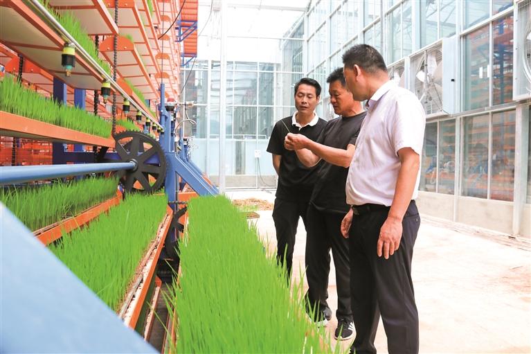 福鼎：大力构建“1+2+N”特色农业产业格局(图1)