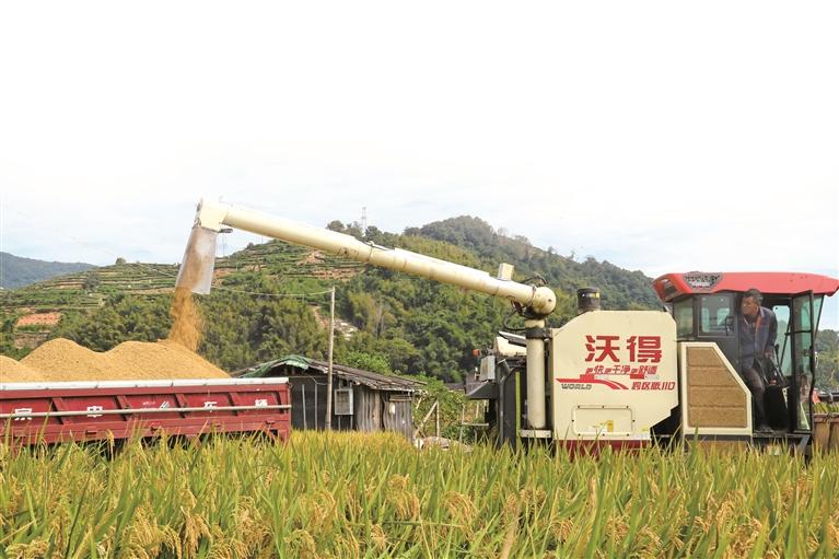 福鼎：大力构建“1+2+N”特色农业产业格局(图2)