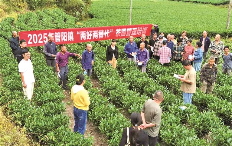 福鼎：大力构建“1+2+N”特色农业产业格局(图3)