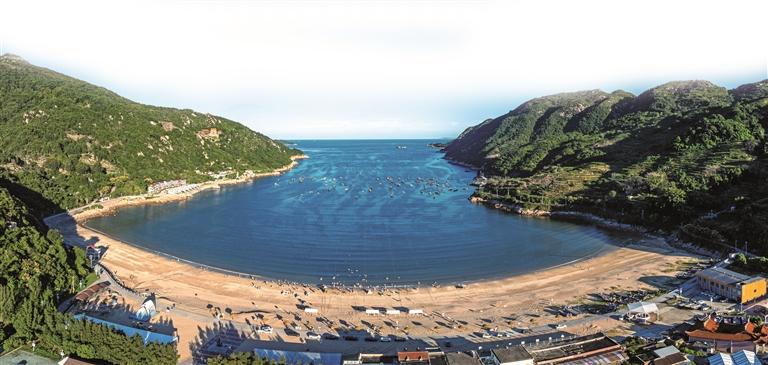 福鼎：大力构建“1+2+N”特色农业产业格局(图6)