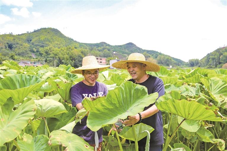 福鼎：大力构建“1+2+N”特色农业产业格局(图8)