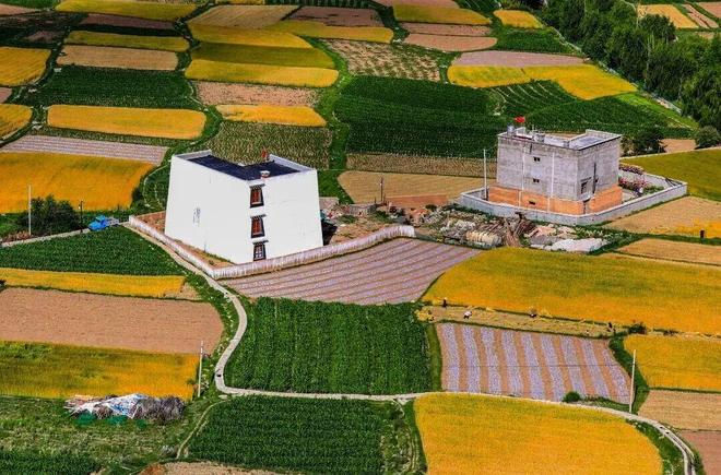 高原小县有机产业绘就共富新图景——解码乡城 215 亿元产值背后的“生态答卷”(图1)