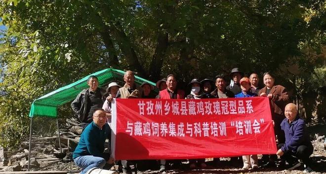 高原小县有机产业绘就共富新图景——解码乡城 215 亿元产值背后的“生态答卷”(图3)