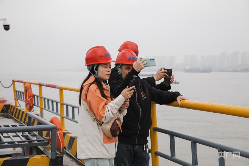 向“绿”而行向“新”而进：江西瑞昌探索绿色发展新路径(图2)