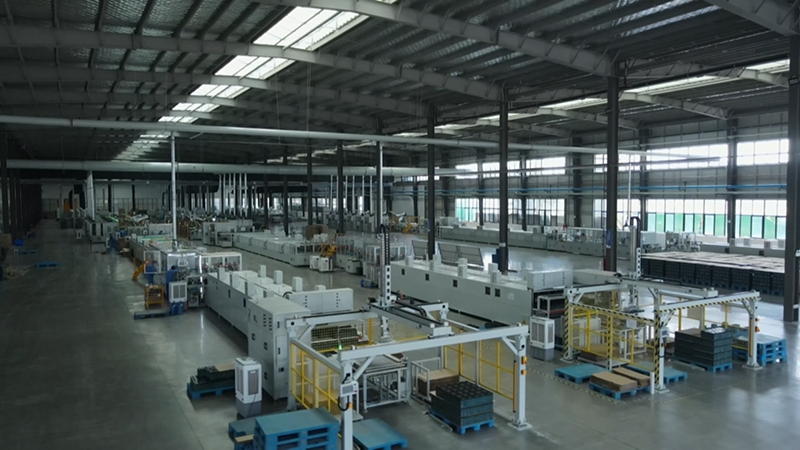 安徽向前丨蔬菜大县闯出“新”名堂(图3)