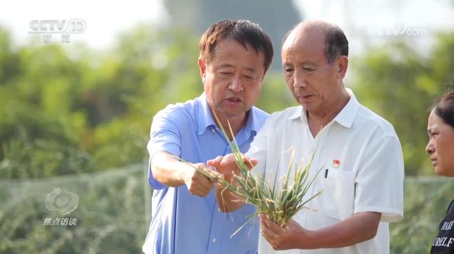 焦点访谈|攥紧农业“芯片”提稳中国“菜篮子”(图5)