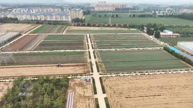 焦点访谈|攥紧农业“芯片”提稳中国“菜篮子”(图6)