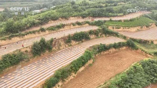 焦点访谈|攥紧农业“芯片”提稳中国“菜篮子”(图1)