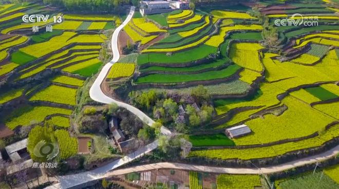 焦点访谈|攥紧农业“芯片”提稳中国“菜篮子”(图8)