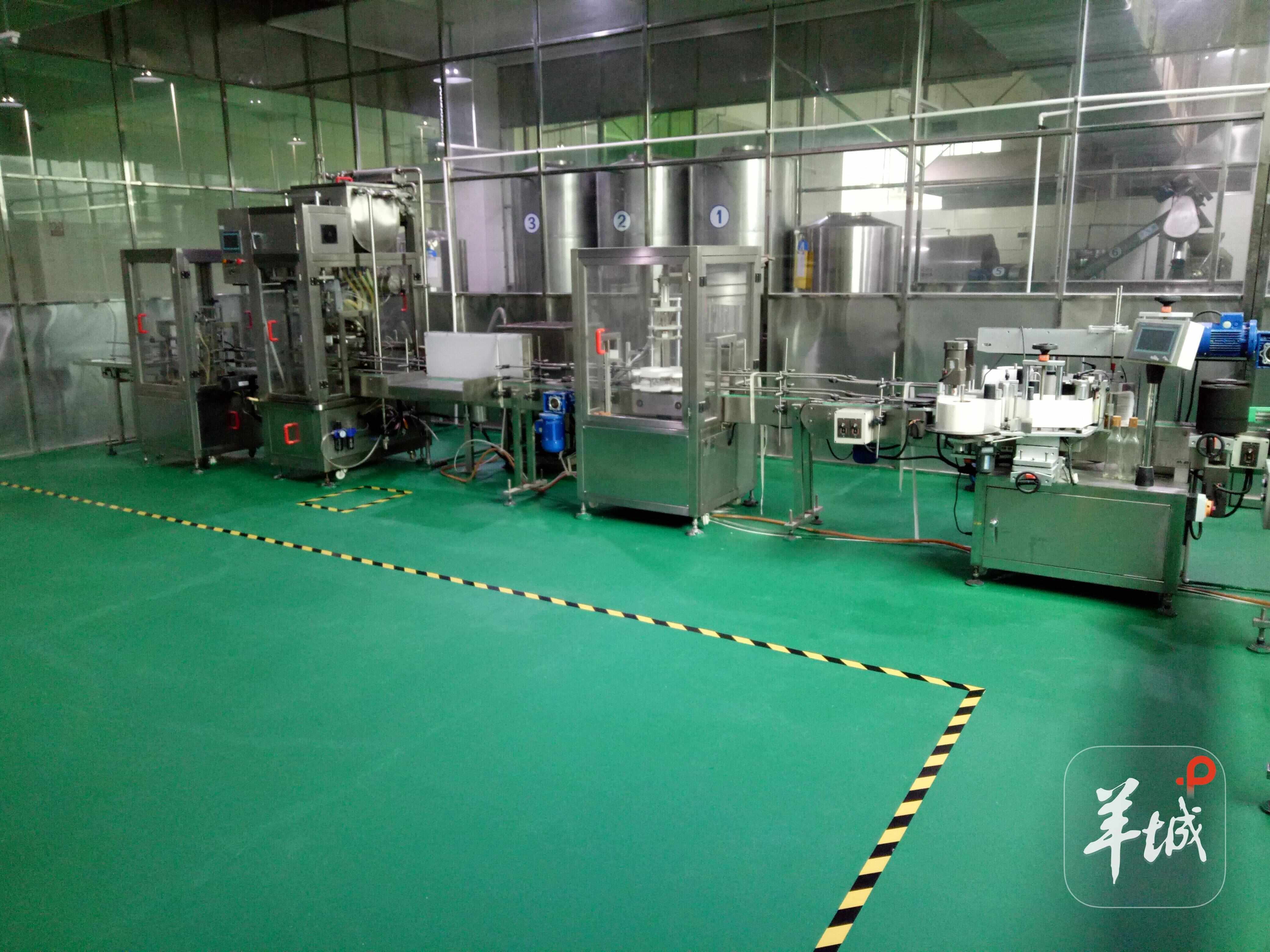 龙川山茶油再添新活力!黄石镇油茶新榨开坊“百千万工程”结出致富“金果子”(图6)