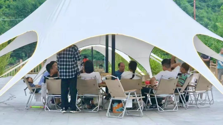 舟曲县：党建赋能开出产业发展“富民花”(图2)