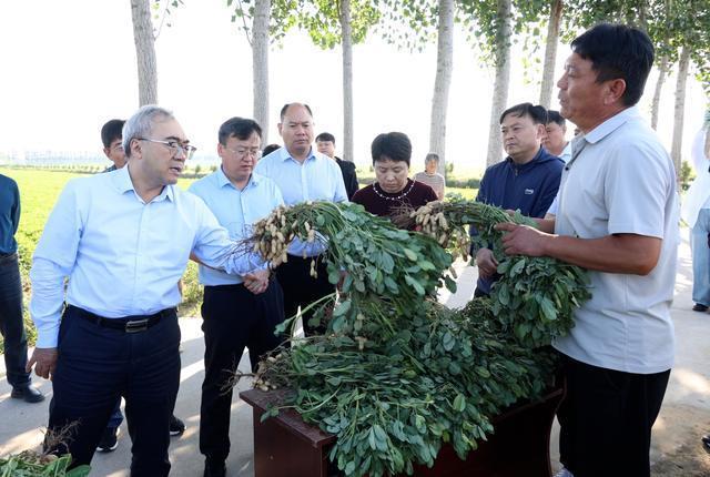 弹好院县共建四重奏谱写乡村振兴新乐章——河南省农业科学院与延津县共建现代农业科技示范县成效综述(图2)