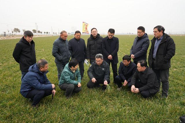 弹好院县共建四重奏谱写乡村振兴新乐章——河南省农业科学院与延津县共建现代农业科技示范县成效综述(图3)