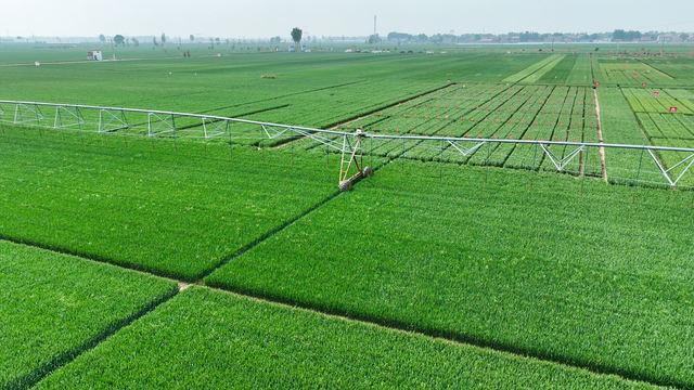 弹好院县共建四重奏谱写乡村振兴新乐章——河南省农业科学院与延津县共建现代农业科技示范县成效综述(图5)