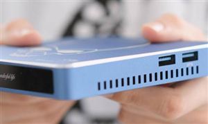 两节临近菜篮子稳得住吗？我国有机蔬菜产业市场分析2024(图4)