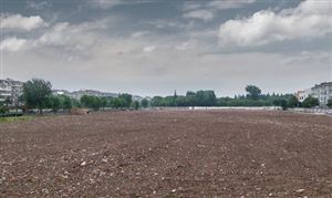 两节临近菜篮子稳得住吗？我国有机蔬菜产业市场分析2024(图7)