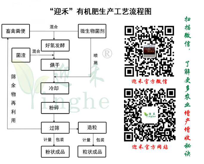 什么是有机蔬菜？(图3)
