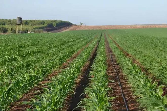 温铁军：只让农民回乡干农业你知不知道现在农业是负收益？(图1)