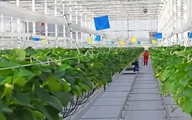 温铁军：只让农民回乡干农业你知不知道现在农业是负收益？(图2)