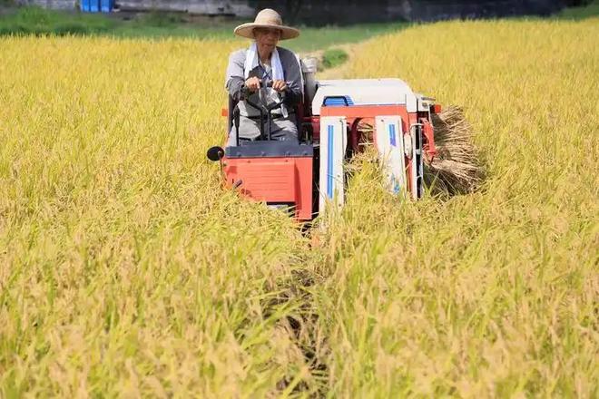 温铁军：只让农民回乡干农业你知不知道现在农业是负收益？(图4)