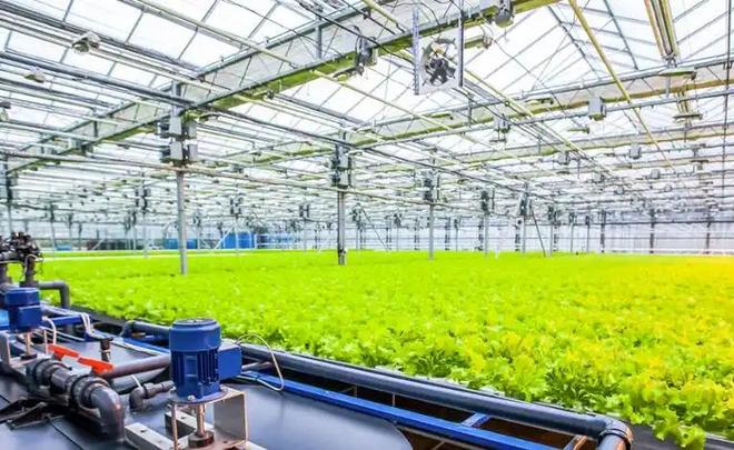 温铁军：只让农民回乡干农业你知不知道现在农业是负收益？(图6)