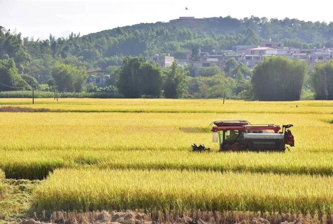 温铁军：只让农民回乡干农业你知不知道现在农业是负收益？(图8)