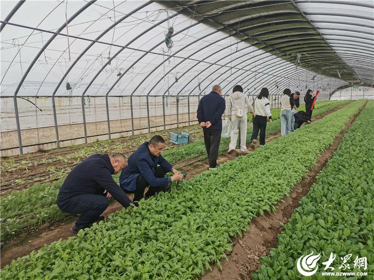 优化消费环境激发消费活力!烟台市消协开展体验行活动(图3)