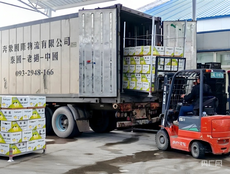 安徽砀山：酥梨直销东南亚水果外贸谱新篇(图1)