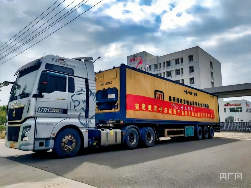 安徽砀山：酥梨直销东南亚水果外贸谱新篇(图3)