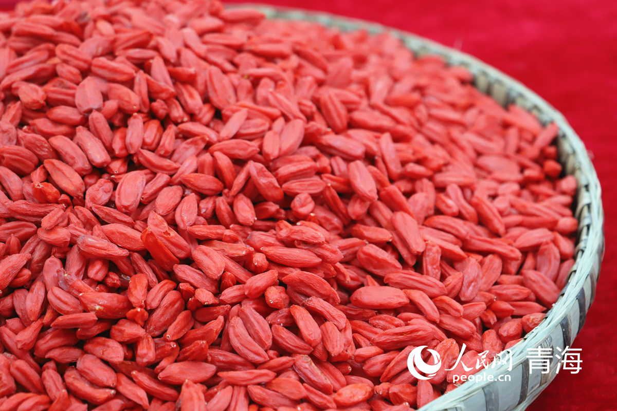 青海海西特色产业“链”出好“丰”景(图4)