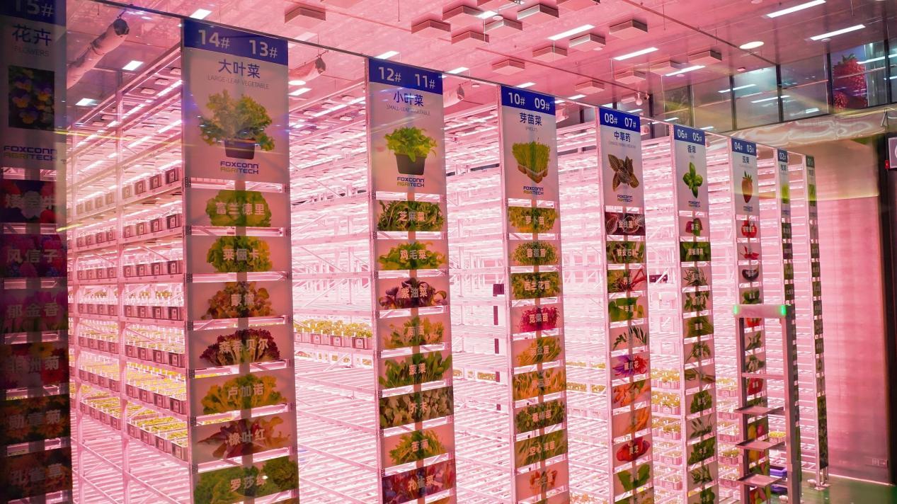 数智赋能、场景破圈青岛农品点亮城市新“丰景”!(图5)