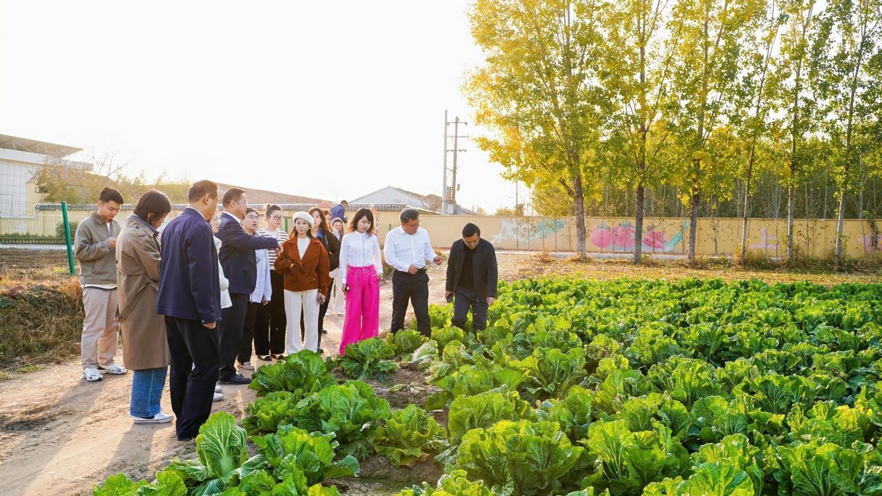 数智赋能、场景破圈青岛农品点亮城市新“丰景”!(图16)