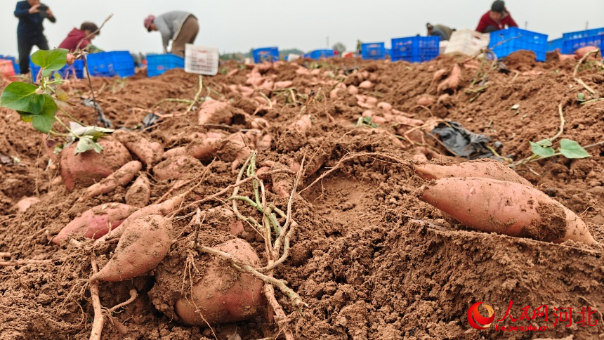 河北:让矿迹焕彩矿场生绿(图3)