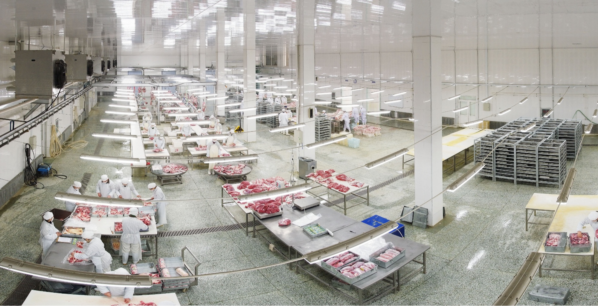 肇东:加大产业结构调整力度经济运行速度快效益好(图2)