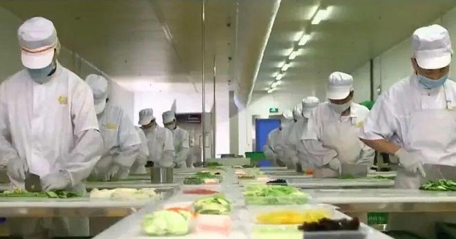 【精彩“十四五” 活力新永年】永年蔬菜：以质为基擘画产业发展新蓝图(图5)