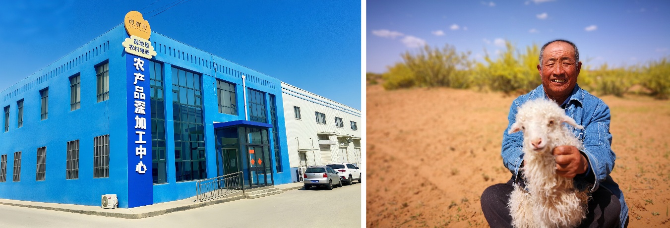 西鲜记:全链赋能盐池滩羊产业升级以品质与共富书写乡村振兴样本(图6)