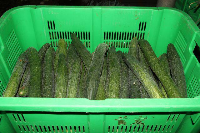 首宏蔬菜配送2024年11月让你选蔬菜配送不再踩坑(图1)