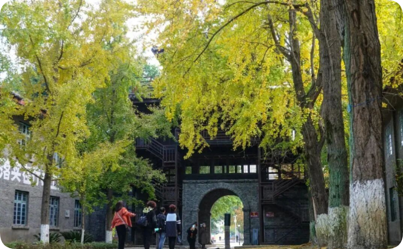 锦绣南充“丝”启未来——写在2025四川丝绸博览会举行之际(图3)