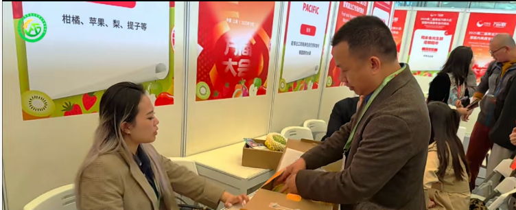 岭南佳果闪耀沪上“粤字号”亮相2025中国（上海）国际果蔬展览会(图4)