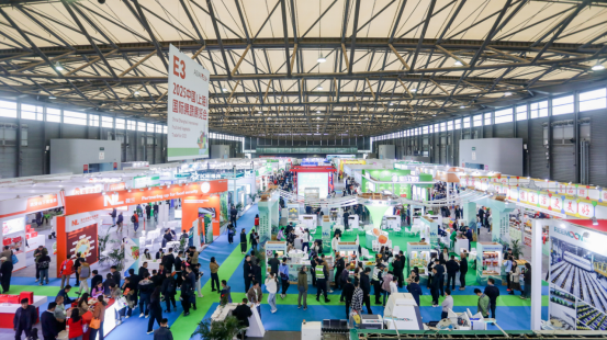 岭南佳果闪耀沪上“粤字号”亮相2025中国（上海）国际果蔬展览会(图6)