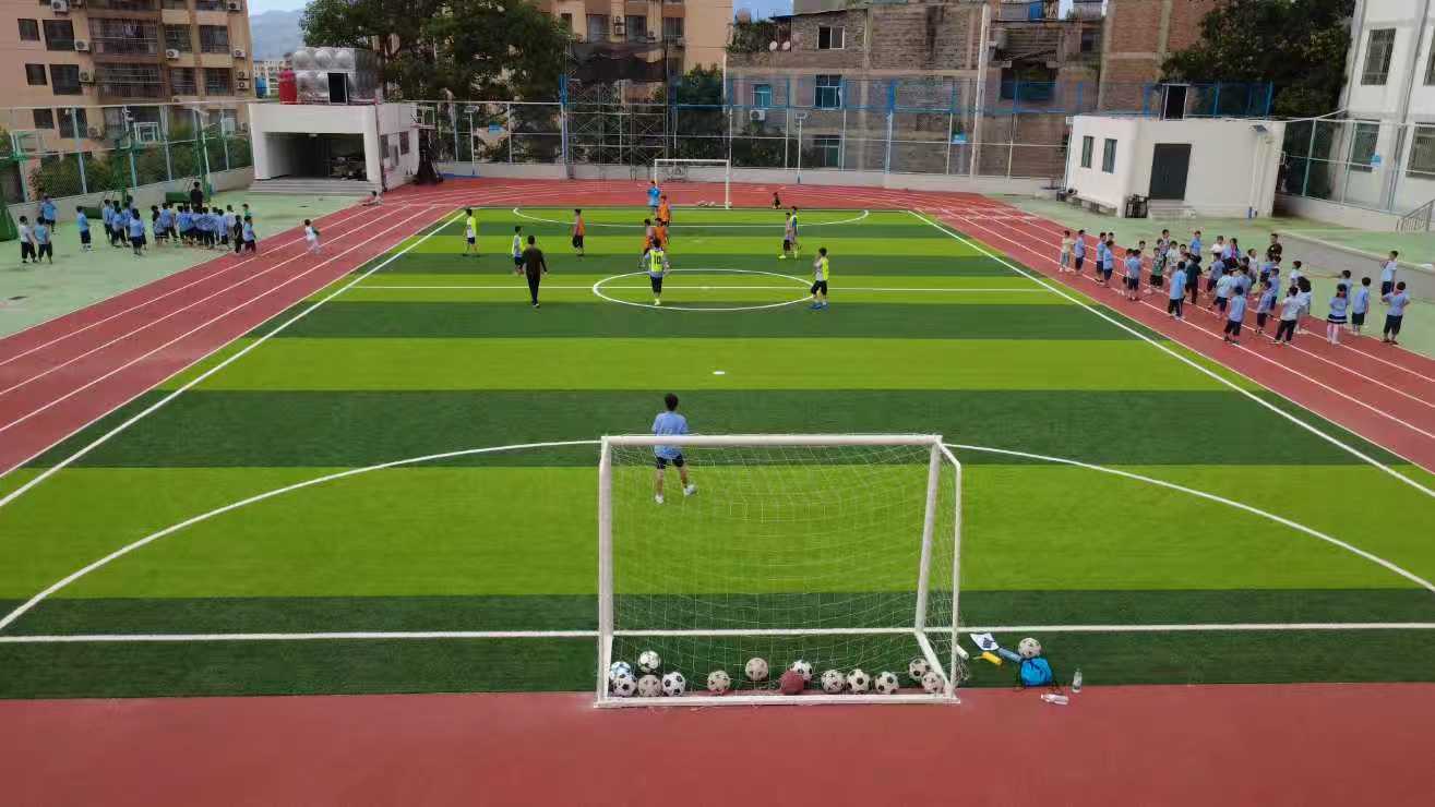 山海携手助巧家普陀同心促振兴(图3)