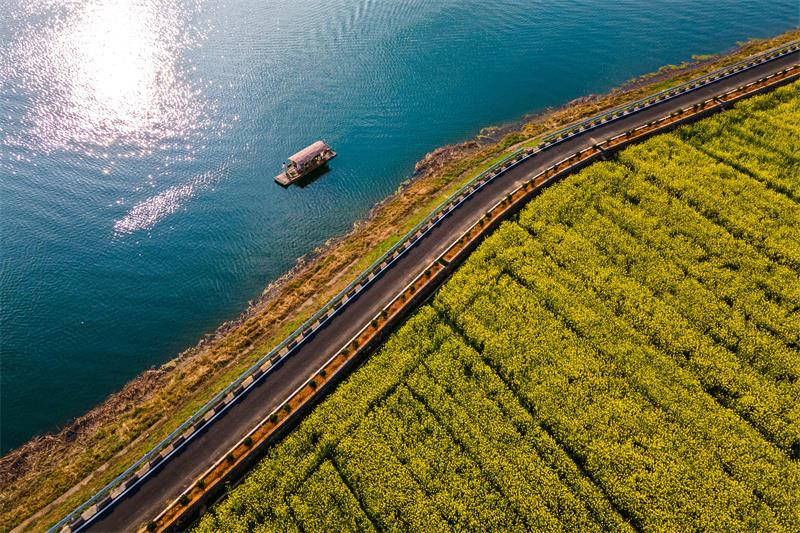 湖南双峰：家门口铺就幸福路(图1)