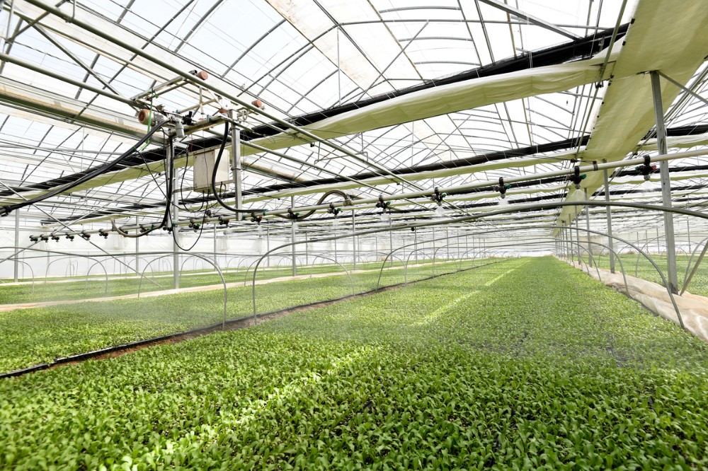 云端“智”控田间“慧”收——张家口智慧农业为乡村振兴赋能增效(图1)