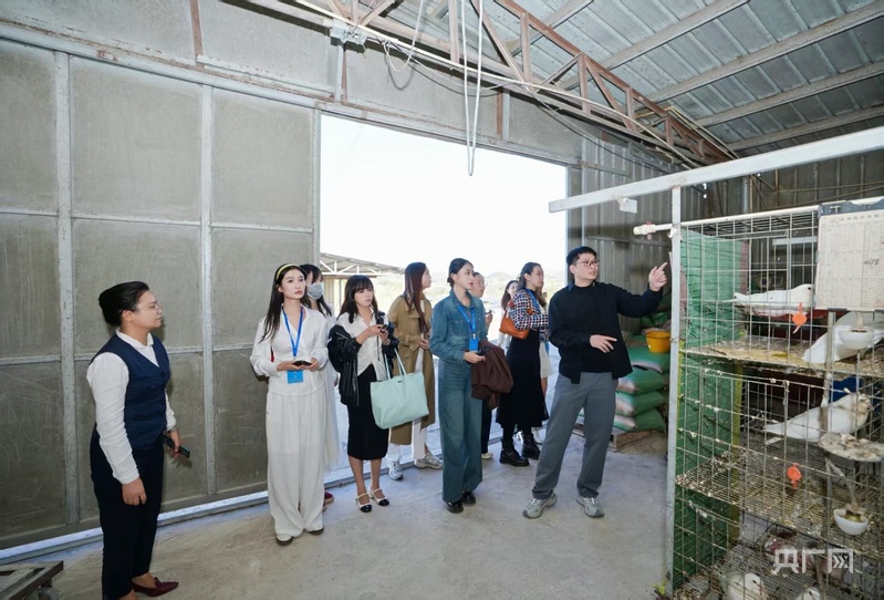 “媒体+”“网络强村”助力梅州兴宁特色产业振兴(图2)