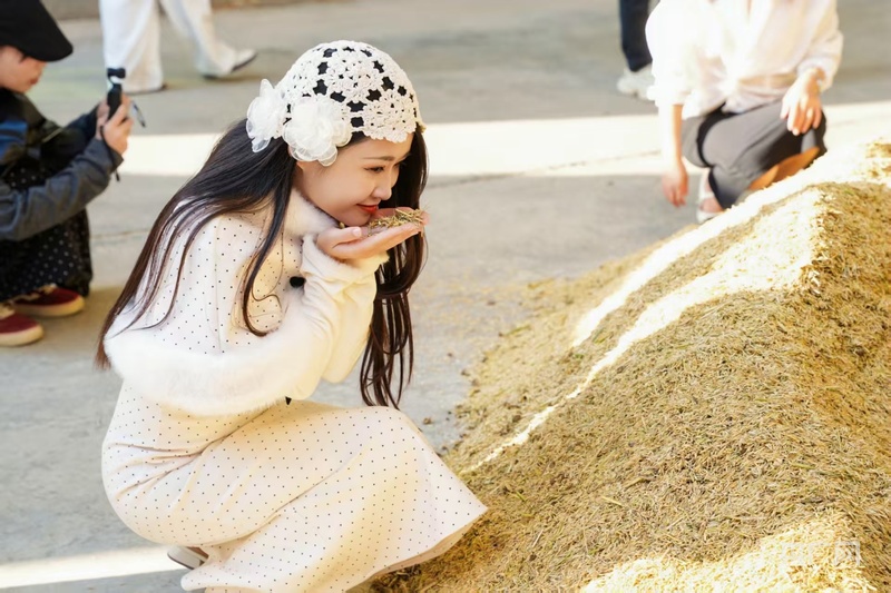 “媒体+”“网络强村”助力梅州兴宁特色产业振兴(图6)