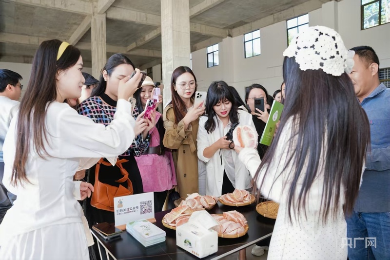 “媒体+”“网络强村”助力梅州兴宁特色产业振兴(图5)