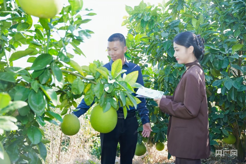 “媒体+”“网络强村”助力梅州兴宁特色产业振兴(图4)