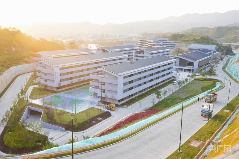 “媒体+”“网络强村”助力梅州兴宁特色产业振兴(图7)